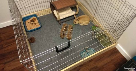 What is the best floor for my bunny enclosure? Indoor Rabbit Run, Rabbit Room Ideas, Indoor Rabbit Enclosure, Bunny Cage Ideas, Indoor Bunny House, Rabbit Enclosures, Rabbit Hutch Ideas, Bunny Enclosure, Indoor Rabbit House