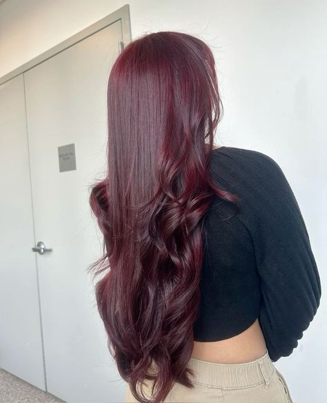 Red Hair For Black Hair, Long Burgundy Hair, Red Wine Hair Color, Wine Red Hair Color, Red Hair Long, Red Long Hair, Berry Hair, Cherry Cola Hair, Black Cherry Hair