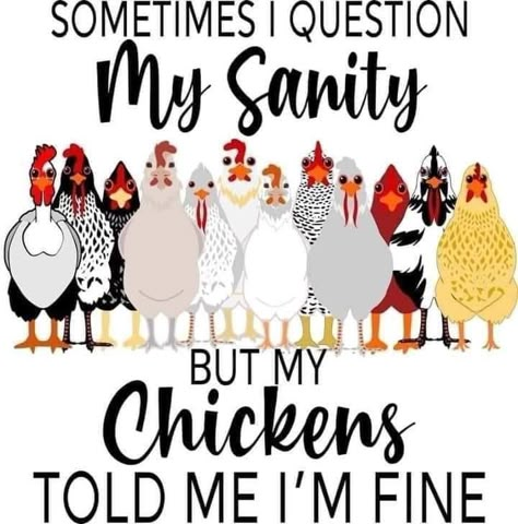 Rooster Printable, Chicken Sayings, Chicken Quotes, Chicken Jokes, Chicken Images, Chicken Pictures, Backyard Chicken Farming, Chicken Health, Barn Wood Crafts