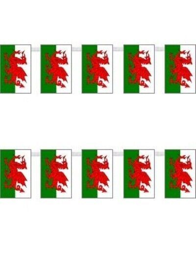 Cute Mini Welsh Flag Bunting Party Decoration - 9.8ft / 3m Long Brand New & Sealed An effective party decoration for your home or ideal for a party venue, for displays, events etc  Perfect for St David's Day or sports events This sealed pack contains a 9.8 foot length of 12 Welsh mini plastic bunting flags  Measures 9.8ft / 3 metres long 12 plastic mini welsh flags Each flag measures approx 5 x 7 inches / 13 x 18 cms Looks great & can be hung from walls, ceilings & doorways Perfect for St David' St David, Welsh Flag, Bunting Flags, Bunting Garland, Party Venues, Flag Bunting, Sport Event, Party Decoration, Bunting