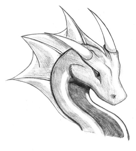 drago-disegni-da-copiare-facili-e-belli-sfumature-chiaro-scuro-matita Dragon Head Drawing, Animal Sketches Easy, Easy Dragon Drawings, Anime Tutorial, Dragon Sketch, Disney Art Drawings, Dragon Pictures, Dragon Artwork, Dragon Head