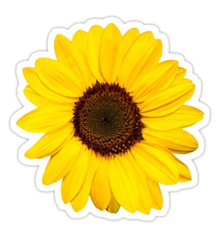 Sunflower stickers. Sticker featuring a photo of a beautiful, yellow sunflower. Sunflower Printable, Sunflower Sticker, Snapchat Stickers, Tumblr Stickers, Floral Border Design, Floral Stickers, Yellow Sunflower, Diy Phone Case, Mellow Yellow