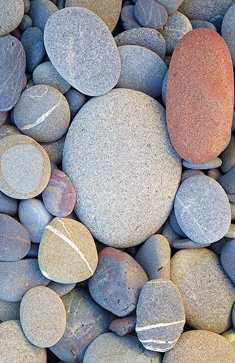 Earth Element Aesthetic, Healthcare Art, New Nature Wallpaper, Rock Photography, Rock And Pebbles, Round Off, Watercolor Projects, Beach Rocks, Pebble Stone