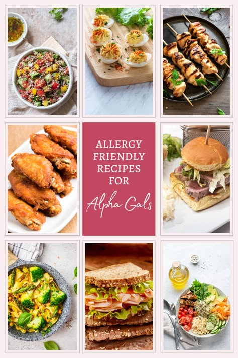 Alpha Gal Syndrome, Alpha Gal Recipes, Alpha Gal, Marsala Chicken Recipes, Beef And Pork, Allergy Friendly Recipes, Food Allergy, Recipe Roundup, Allergy Friendly