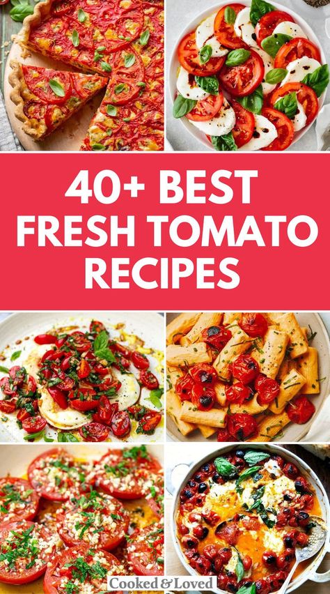 40 Gorgeous Fresh Tomato Recipes Roma Tomato Recipes, Refreshing Salads, Cherry Tomato Recipes, Fresh Tomato Recipes, Summer Tomato, Easy Summer Meals, Cherry Recipes, Summer Cooking, Juicy Tomatoes