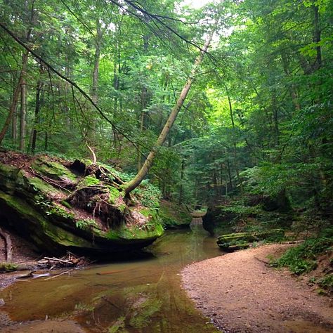 Old mans cave park hocking hills Ohio USA #outdoors #nature #sky #weather #hiking #camping #world #love http://bit.ly/2H7baP3 Usa Hiking, Hocking Hills Ohio, Sky Weather, Backpacking Adventure, Hocking Hills, Mountains Photography, Ohio Usa, Mountain Climbing, Camping Outdoors