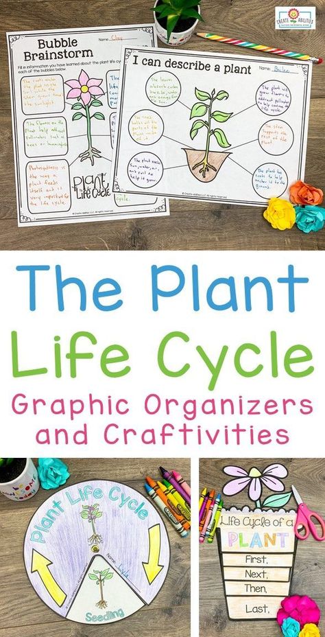 Plant Life Cycle Project, Plants Life Cycle, Plants Life Cycle Activities, Plant Life Cycles, Teaching Plants, Life Cycles Activities, Plants Unit, Science Rules, Create Name