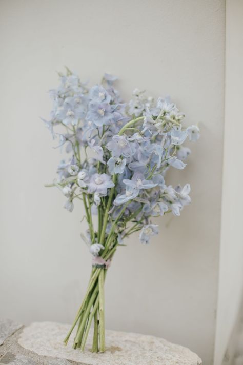 Small Blue Flowers Bouquets, Small Blue Bridesmaid Bouquet, Blue Flowers Delphinium, Blue And White Mini Bouquet, Single Variety Bouquet, Light Blue Bridesmaids Bouquets, Blue Delphinium Wedding Bouquet, Light Blue Delphinium Bouquet, Simple Blue Bouquet