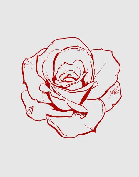 Tattoo Stencil Outline, Rose Drawing, Roses Drawing, Tattoo Design Drawings, Tattoo Stencils, Halsey, Flower Tattoos, A Drawing, Art Drawings Sketches