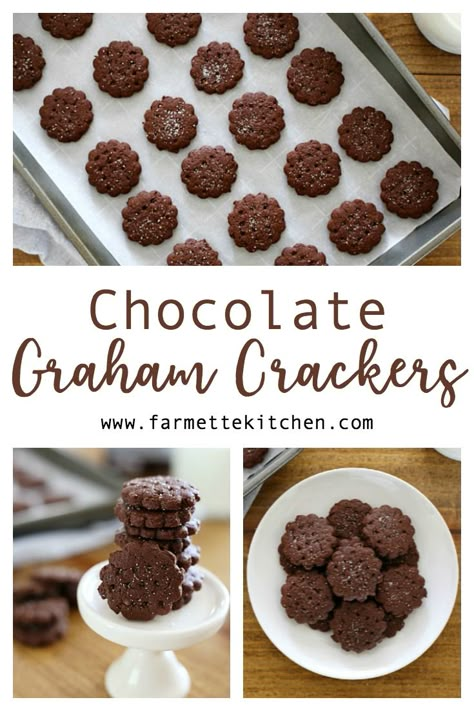 Make your own Homemade Chocolate Graham Crackers with only a few simple ingredients.  Perfect in the lunchbox or as an after-school treat! via @farmettekitchen Homestead Kids Snacks, Homemade Chocolate Graham Crackers, Chocolate Crackers Recipe, Homemade Chocolate Animal Crackers, Sourdough Chocolate Graham Crackers, Sourdough Discard Chocolate Graham Crackers, Easy Graham Cracker Recipes, Chocolate Sourdough Crackers, Teddy Grahams Recipe