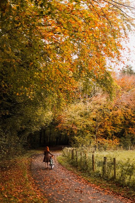 An Autumn Bike Ride - A Clothes Horse Fall Rustic Decor, Magical Autumn, Autumn Scenes, Autumn Scenery, Dirt Road, Fall Feels, Autumn Beauty, Favorite Season, Farmhouse Fall