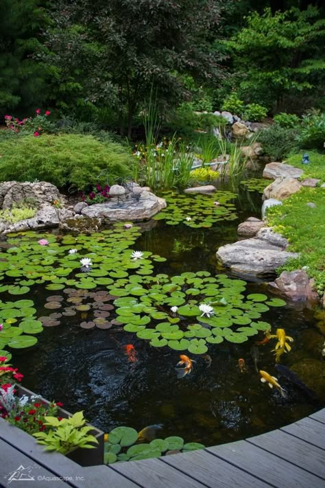 Natural Pond Landscaping, Man Made Pond, House With Pond, Large Koi Pond, Ecosystem Pond, Small Garden Pond, Modern Pond, Pond Deck, Japanese Pond