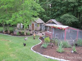 The Chicken Chick®: Virtual Tour de Coop Coop Landscaping, Chicken Coop Inside, Cute Chicken Coops, Chicken Coop Run, Chicken Coop Designs, Chicken Chick, Chicken Garden, Building A Chicken Coop, Chicken Coop Plans