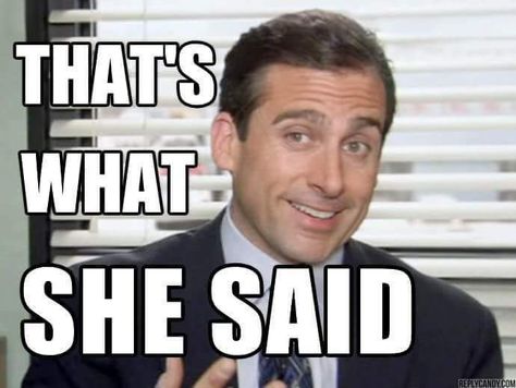 Best Michael Scott Quotes, The Brightest Light Of Sunshine, Quotes From The Office, Moments In Media, Michael Scott Paper Company, Five Survive, Michael Scott The Office, Thats What She Said, What Meme