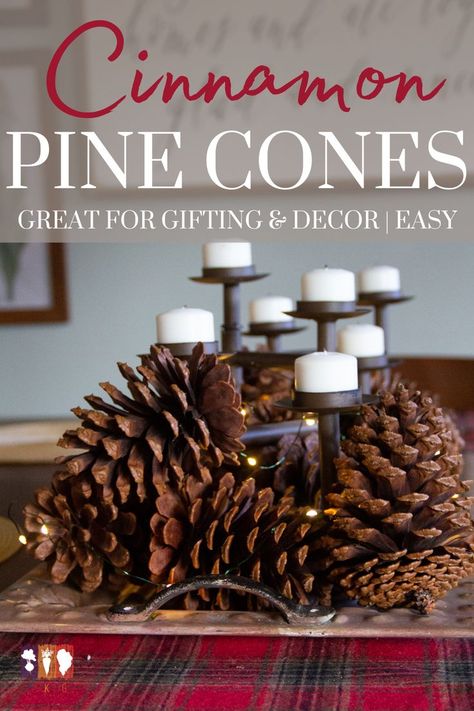 Nothing smells quite like the holidays than the warm scent of cinnamon. And if you've been to a home decor store lately, then chances are you've seen cinnamon scented pine cones or brooms. These take Scented Pine Cones, Cinnamon Broom, Cinnamon Smell, Diy Cinnamon, Scented Pinecones, Cinnamon Bark Essential Oil, Mini Pine Cones, Pinecone Crafts Christmas, Dried Orange Peel