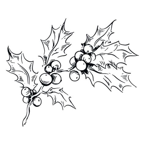 Mistletoe Drawing, Christmas Tattoo, Create Christmas Cards, Illustration Botanique, Holly Leaves, Holly Berry, Coloring Apps, White Illustration, Christmas Drawing