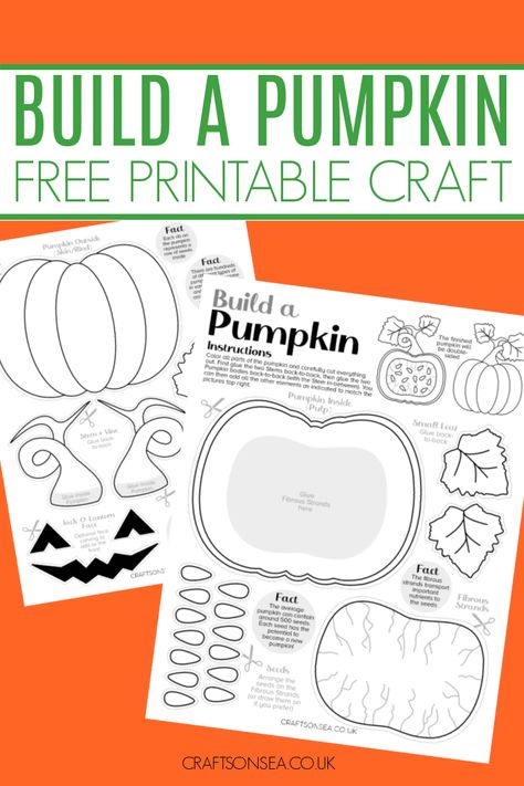 Build A Pumpkin Printable (FREE PDF) Life Cycle Of A Pumpkin Craft, Parts Of A Pumpkin Craft, Inside A Pumpkin Craft, Fall Crafts For School, Pumpkin Printables Free, Fall Free Printables, Pumpkin Activities For Kids, Plants Life Cycle, Pumpkin Crafts For Kids