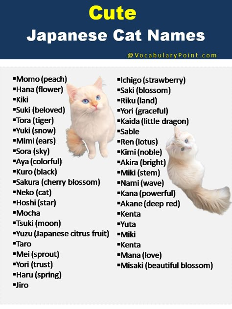 In this article, we have compiled a list of the best Japanese cat names to help you find the ideal moniker for your beloved pet. ... Read more The post 200+ Best Japanese Cat Names appeared first on Vocabulary Point. Name For Cats List, Japanese Names For Pets, Cute Japanese Pet Names, Japanese Names That Mean Moon, Name For Kittens, Japanese Cat Names With Meaning, Cute Cat Names Aesthetic, Funny Names For Animals, Mainecoon Cat Names