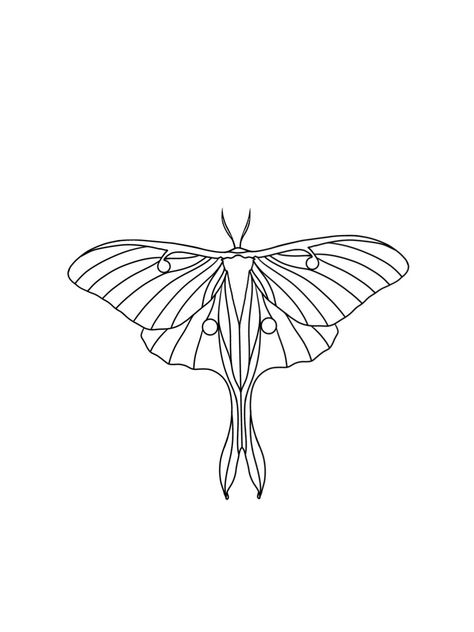 if u want this Tattoo text me on IG Artist: franziskaamellie Luna Moth Tattoo Outline, Simple Moth Painting, Moth Drawing Tattoo, Simple Moth Tattoo, Luna Moth Tattoo, Wardrobe Color Guide, Moth Drawing, Moth Wings, Bug Tattoo