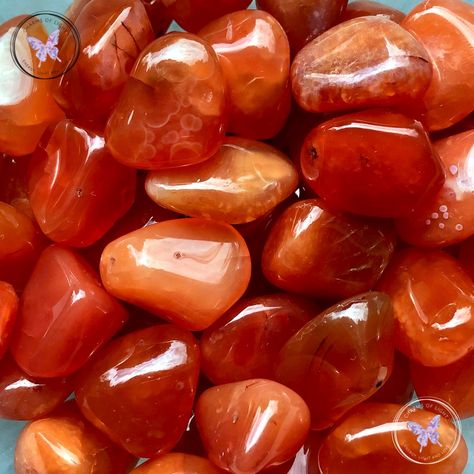 Carnelian Healing Properties | Carnelian Meaning | Benefits Of Carnelian | Metaphysical Properties Of Carnelian | Charms Of Light - Healing Crystal Kingdom, Fertility Boost, Zodiac Stones, Carnelian Bracelet, Carnelian Jewelry, Carnelian Crystal, Orange Crystals, Carnelian Pendant, Carnelian Stone