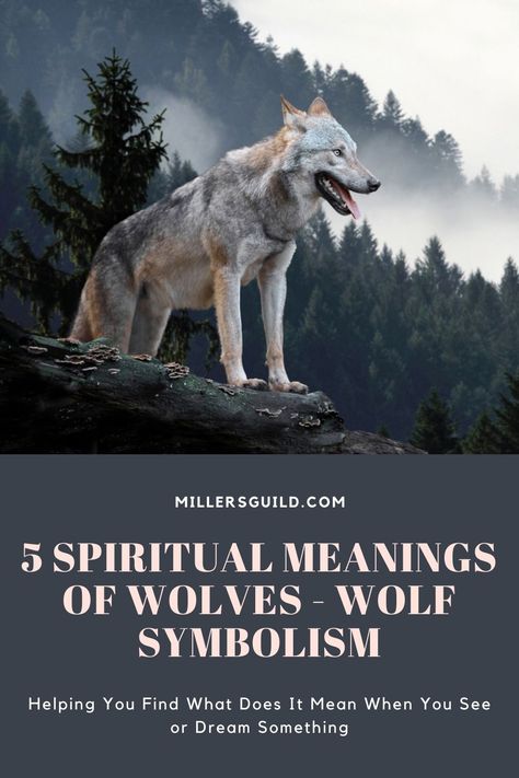 5 Spiritual Meanings of Wolves – Wolf Symbolism Animals Symbolism, Wolf Meaning, Wolf Symbolism, Wolf Walking, Wolf Paw Print, Spirit Animal Meaning, Animal Meanings, Wolf Paw, Spiritual Animal