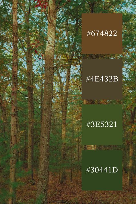 A woodland scene with tall trees and a mix of green and brown tones, creating a warm forest green and brown color palette. Forest Green Palette, Forest Color Scheme, Woodland Color Palette, Forest Green Color Palette, Green And Brown Color Palette, Tree Color Palette, Forest Color Palette, Color Scheme Generator, Forest Inspiration