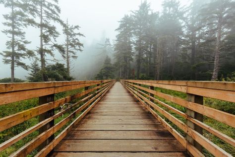 Sunday Reflection, Moving To Washington State, Berkeley University, Scenery Mountain, Living In Washington State, Wooden Path, National Park Trip, Wa State, San Juan Island