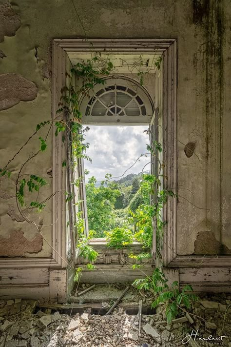 Inside Outside Inbetween, Overgrown Factory, Abandoned Warehouse Aesthetic, Abandoned Mansions Interior, Nature Reclaiming Abandoned Places, Abandoned Houses Interior, Abandoned Cemetery, Soft Apocalypse, Ruined Buildings