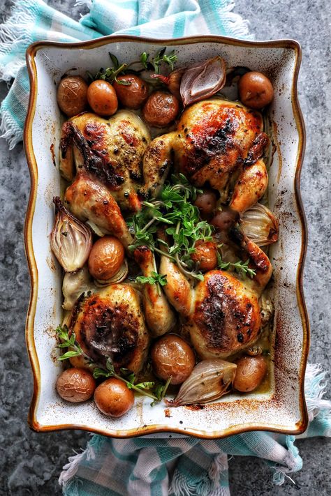 Moroccan Style Cornish Hens Cornish Game Hens Baked, Best Cornish Game Hen Recipes, Recipe For Cornish Hens, Easy Cornish Hen Recipe, Cornish Hen Side Dishes, Cornish Hen Recipe Roasted, Roasted Cornish Hens Oven, Cornish Hen Recipe Baked, Cornish Hen Recipes