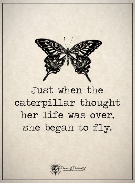 Modern society is a sea of drama, and sometimes, it can seem impossible to escape. Here are 4 signs of emotional distress(and how to heal)... Yoga Kundalini, Butterfly Quotes, Modern Society, A Quote, Beautiful Quotes, The Words, Caterpillar, Great Quotes, Inspirational Words