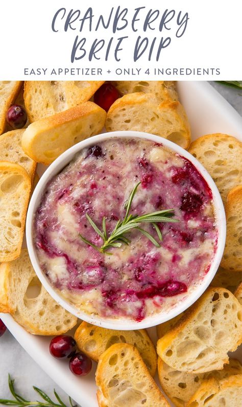 Baked Cranberry Brie Recipes, Cranberry Rosemary Baked Brie, Brie Appetizer Thanksgiving, Hot Brie Dip, Whipped Brie With Cranberry, Cranberry Brie Dip Crockpot, Brie Cranberry Dip, Brie And Raspberry Appetizer, Brie Dip Appetizer