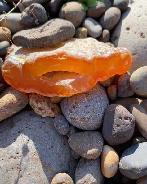 -Aaron- on Instagram: “Nice little carnelian from today’s hunt! 🔥 #agate #agates #oregon #oregonagate #Washington #pacificnorthwest #pnw #pnwrocks #carnelian…” Beach Agates, Oregon Rockhounding, Rock Hounding Oregon, Rockhounding Oregon, Agate Beach California, Agate Beach Oregon, Hag Stones, Stone World, Rock Hounding