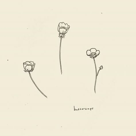 Tiny Buttercup Tattoo, Simple Buttercup Tattoo, Buttercup Flowers Tattoo, Tattoos About Sisters, Simple Cute Flower Tattoos, Ring Finger Flower Tattoo, Buttercup Drawing Flower, Buttercup Flower Tattoo Simple, Buttercup Flower Tattoos