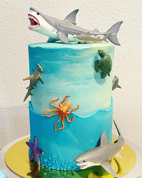 Birthday Cake Shark Theme, Mermaid And Shark Cake Ideas, Shark Bday Cake, Shark Themed Birthday Cake, Shark Party Cake, 5 Yr Birthday Party Ideas Boys, Shark Birthday Cake Ideas, Shark Birthday Cakes For Boys, Hammerhead Shark Cake