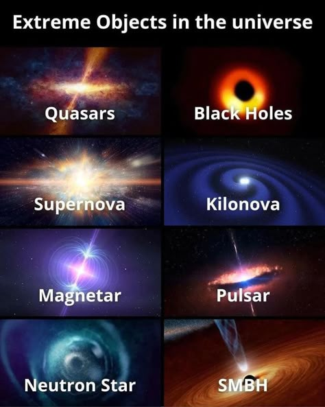 Physics Facts, Astronomy Facts, Interesting Science Facts, Neutron Star, Astronomy Science, Cool Science Facts, Space Facts, Physics And Mathematics, Space Pictures