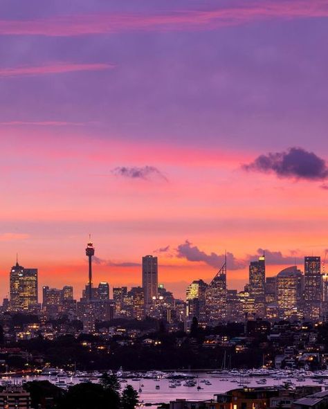 Sydney, Australia on Instagram: "Summer nights and city lights 💜 We didn't think Sydney could be any anymore captivating, until we found this perfect lookout at Vaucluse with a mesmerising city skyline view. Thanks for sharing your #feelnewsydney moment @elisaeves" Sydney Australia Aesthetic Night, Sydney Night Aesthetic, Sydney At Night, Spiderverse Oc, Sydney Sunset, City Aesthetics, Sydney Skyline, Sydney Travel, Instruments Art