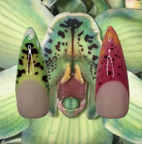 Venus Fly Trap Nails, Dewdrop Nails, Xenomorph Nails, Slug Nails, Dragon Fly Nails, Spiked Nails, Goblincore Nails, Crystal Nail Designs, Moss Nails