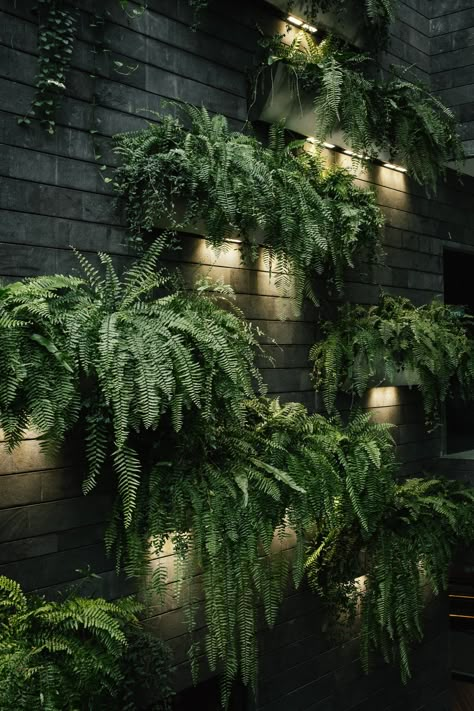 Jewel Changi Airport — Singapore — Haarkon Adventures Diy Wall Planter, Vertical Succulent Gardens, Indoor Waterfall, Garden Indoor, Wall Garden, Interior Garden, Roof Garden, Fence Design, Design Garden