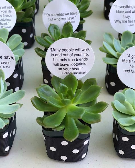 Jac o' lyn Murphy: It's black and white - Everyone loves Succulent Party Favors 90th Birthday Party Favors, Succulent Party Favors, Succulent Party, Friends Leave, Diy Food Gifts, Succulent Favors, Birthday Lunch, Black And White Ribbon, 90's Birthday Party