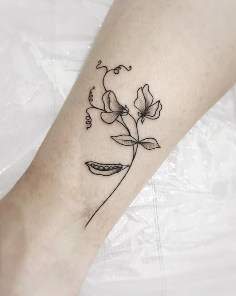 Sweet Pea Pod Tattoo, Snap Pea Tattoo, Pea Tattoo Pod, Pea Pod Tattoo, Peas In A Pod Tattoo, Sweetpea Tattoo, Sweetpea Flower Tattoo, Pea Tattoo, Sweet Pea Tattoo