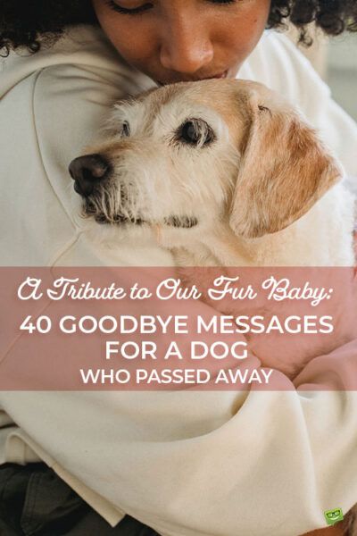 Dog Quotes Saying Goodbye, Good Bye Dog Quotes, Poems For Dogs That Passed, Rest In Peace For Dogs, Quotes For A Dog That Passed, Rip Pet Quotes Dogs, Rip For Dogs Pet Loss, Dog Farewell Quotes, Goodbye To Dog Quotes