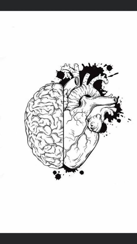 Kunst Tattoos, Brain Art, Pencil Drawings Easy, Medical Art, Human Heart, Anatomy Art, Heart Art, Heart Tattoo, Art And Illustration