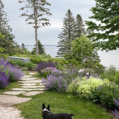 75 Coastal Landscaping Ideas You'll Love - April, 2024 | Houzz Marthas Vineyard Landscaping, Nantucket Style Gardens, Beach Front Landscaping Ideas, Low Maintenance Coastal Landscaping, Seaside Garden Design, Seaside Garden Coastal Cottage, Coastal Front Landscaping, Coastal House Landscaping, Seaside Landscape Design