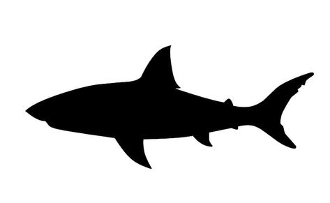 Shark Teeth Crafts, Shark Silhouette, Small Shark, Shark Tattoo, Tattoo Inspiration Men, Silhouette Tattoos, Shark Tattoos, Small Canvas Paintings, Silhouette Images