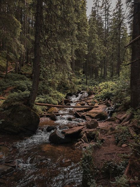 Mountain Aethestic, Mountain Living Aesthetic, Mountain Forest Aesthetic, Mountain Village Aesthetic, Cottagecore Mountain, Megan Core, Mountain Core, Forested Mountains, Wilderness Aesthetic