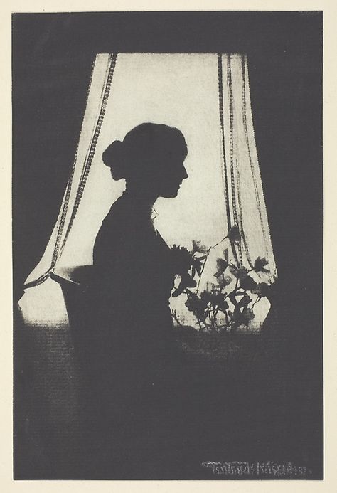 Gertrude Kasebier, Window With Plants, Gum Bichromate, A Rose For Emily, Silhouette Of Woman, The Yellow Wallpaper, Window Lights, English Project, Edward Steichen