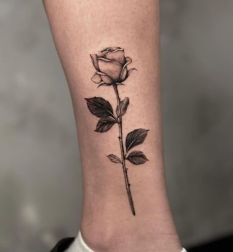 rose tattoo Long Stem Rose Tattoo Design, Men’s Forearm Tattoo Ideas Rose, Rose Bunch Tattoo, Stemmed Rose Tattoo, Rose And Poppy Tattoo, Thorny Rose Tattoo, Rose And Stem Tattoo, Rose Tattoos Men, Rose Tattoo Men Forearm