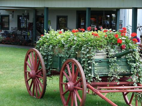 Wagon With Flowers, Yard Wagon, Flower Wagon, Farm Landscaping, Wagon Ideas, Outdoor Wagon, Wagon Planter, Antique Wagon, Farm Wagons