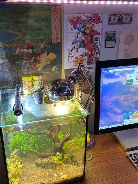 Apartment Tricks, Plants Anime, Room Aquarium, Cool Fish Tank Decorations, Aquarium Room, Rooms Apartment, Tank Terrarium, Small Aquarium, Jellyfish Light