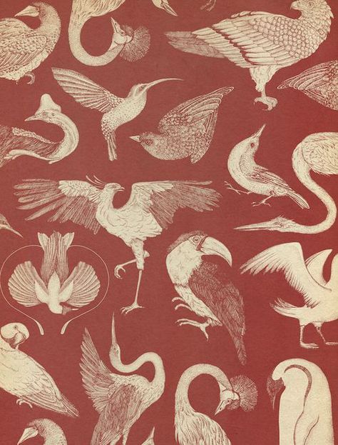 Katie Scott, Birds Wallpaper, Free Bird, Bird Wallpaper, Art Et Illustration, Prints And Patterns, Pattern Texture, Pattern Illustration, Textile Patterns